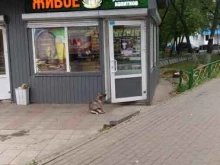 магазин разливных напитков Живое в Люберцах