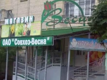магазин фруктов и овощей Весна в Саратове
