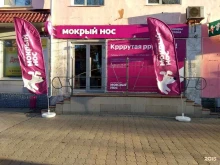сеть магазинов товаров для животных Мокрый нос в Барнауле