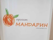 магазин по продаже гаджетов, смартфонов и аксессуаров Mandarin в Улан-Удэ