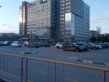 IT-компания Mesh Group в Волгограде