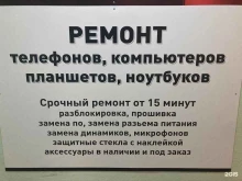 Сервисный центр по ремонту сотовых телефонов и компьютеров, переулок Многостаночников, 13 