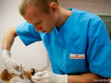 служба ветеринарной помощи ZooДоктор в Брянске