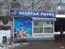 киоск Золотая рыбка в Костроме