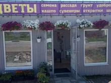 Семена / Посадочный материал Магазин товаров для сада и огорода в Перми