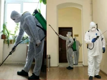 служба дезинсекции и дезинфекции Pest Control в Сочи