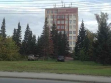 Аренда спецтехники Стройвектор в Новосибирске