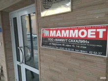 компания по транспортировке груза Маммут Рус в Южно-Сахалинске