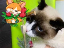 КОТотель62, улица Большая, 94 к1 