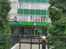 Организации природоохраны Российский центр защиты леса в Пушкино