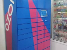 Ozon box, Луначарского, 9 