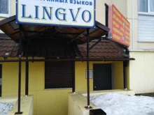 языковая студия Lingvo в Твери
