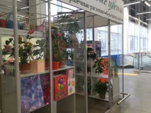 цветочный магазин Mallina в Братске