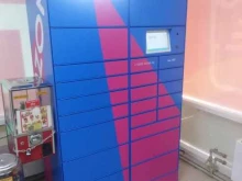 постамат Ozon box в Энгельсе