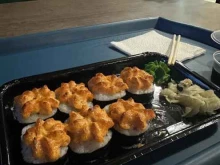 Быстрое питание Территория суши в Чебоксарах
