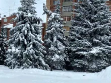 Комитет по социальной политике, государственному строительству, местному самоуправлению и развитию гражданского общества, Радищева, 1 