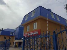 г. Лениногорск Русалка в Лениногорске