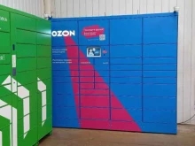 автоматизированный пункт выдачи OZON box в Альметьевске