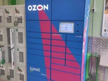 автоматизированный пункт выдачи OZON Box в Казани