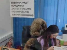страховая группа Согаз в Сургуте