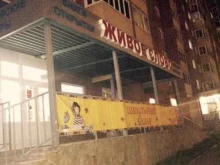 магазин Живое слово в Березовском