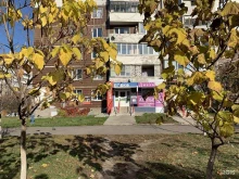 аптека Эвелина в Старом Осколе