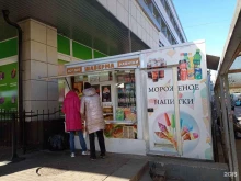 Киоск фастфудной продукции, проспект Ленина, 13в киоск 