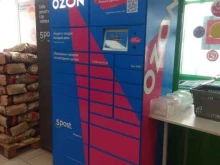 автоматизированный пункт выдачи OZON Box в Казани