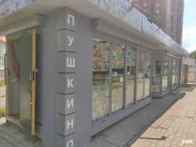 Киоски / магазины по продаже печатной продукции Киоск печатной продукции в Пушкино