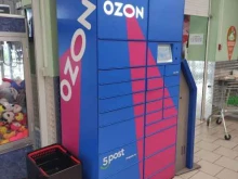 автоматизированный пункт выдачи Ozon box в Домодедово