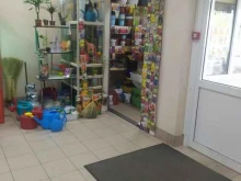 Семена / Посадочный материал Магазин по продаже семян в Рубцовске
