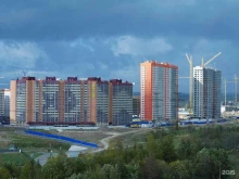 школа тхэквондо Пантера в Мурино
