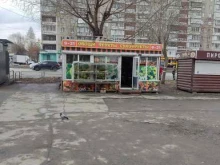 Магазин овощей и фруктов, 250-летия Челябинска, 12/1 киоск 