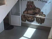 спортивный клуб Медведь в Нальчике