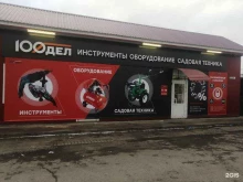 сеть магазинов электроинструментов, строительного оборудования и садовой техники 100ДЕЛ в Тогучине