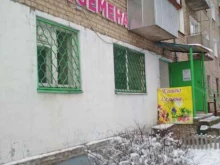 Семена / Посадочный материал Магазин цветов и посадочных материалов в Иваново