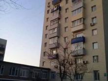 экологическая общественная организация Бюро региональных общественно-экологических кампаний в Владивостоке