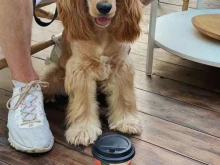 кофейня Korcoffee в Горячем Ключе