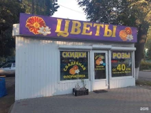 магазин цветов Герберка в Брянске