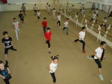 школа боевого кунгфу и спортивного ушу Almas в Кызыле