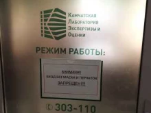 Управленческий консалтинг Камчатская лаборатория экспертизы и оценки в Петропавловске-Камчатском