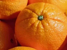 Овощи / Фрукты Магазин по продаже орехов и сухофруктов и овощей в Самаре