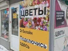 киоск по продаже цветов Ромашка в Костроме