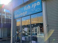 SPA-процедуры Fish spa massage в Сочи