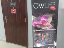 Owl, улица Лермонтова, 46 