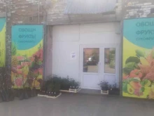 ИП Игнатеня С.В. Оптово-розничная компания по продаже овощей и фруктов в Томске