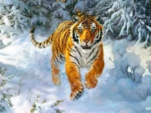 Асто, Сибиряков-Гвардейцев, 47 к8 