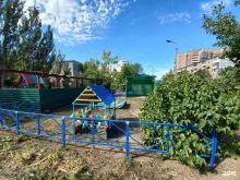 г. Волжский Цветик-семицветик в Волжском