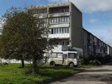 ИП Ранчешов Д.А. Цветочный магазин в Пионерском