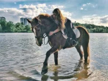 конно-спортивный клуб Торпин голд в Москве